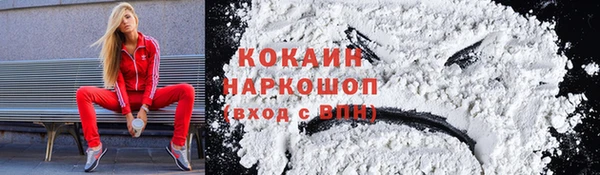 бошки Алексин